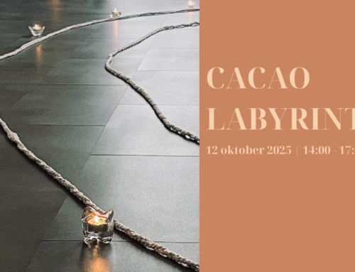 Cacao Labyrint – met een open hart een labyrint lopen